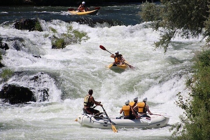 Full Day Rogue River Experience Class (I-IV)