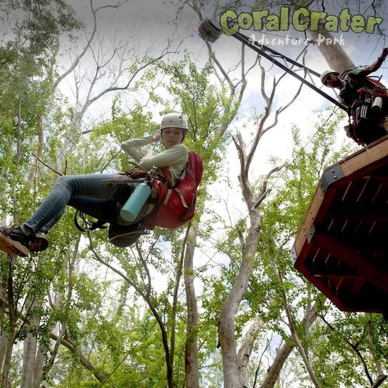 Zipline Tour at Coral Crater Adventure Park