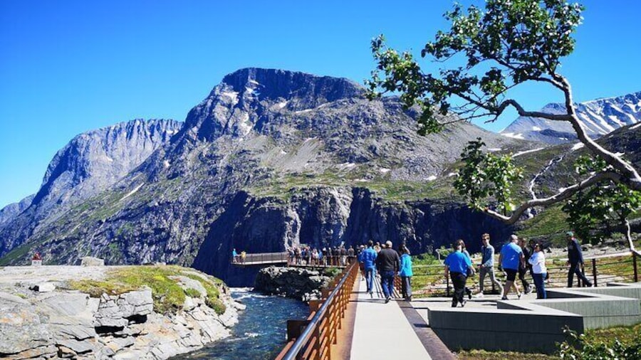 Trolltigen view point ❤️ TROLLSTIGEN PANORAMIC DRIVE including lunch