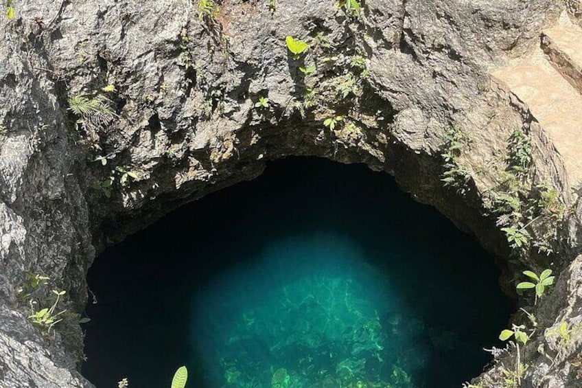 Jungle Park in Cancun with ATVs Zip Lines Cenote & Lunch