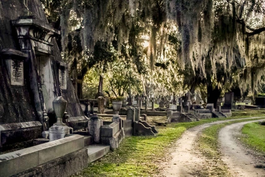 Picture 2 for Activity Charleston: Magnolia Cemetery Nighttime Tour