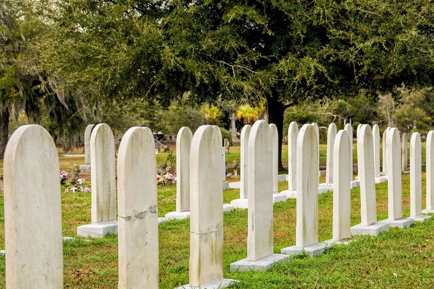 Picture 4 for Activity Charleston: Magnolia Cemetery Nighttime Tour