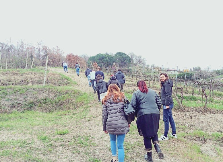 Picture 6 for Activity Brescia: day trip to Botticino with wine tasting at Noventa