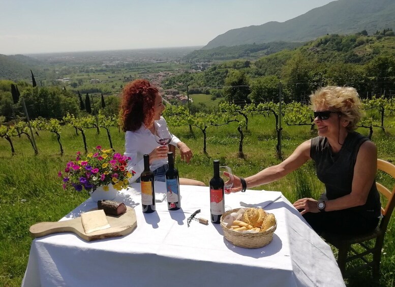 Brescia: day trip to Botticino with wine tasting at Noventa