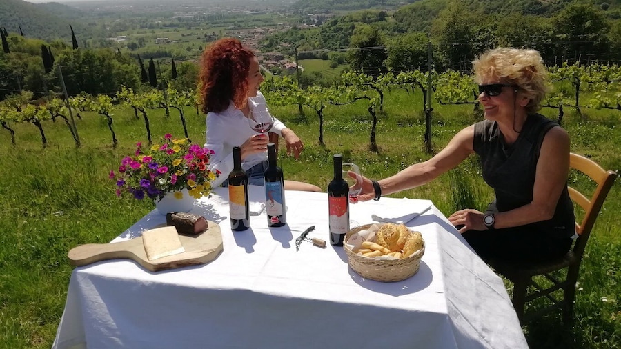 Brescia: day trip to Botticino with wine tasting at Noventa