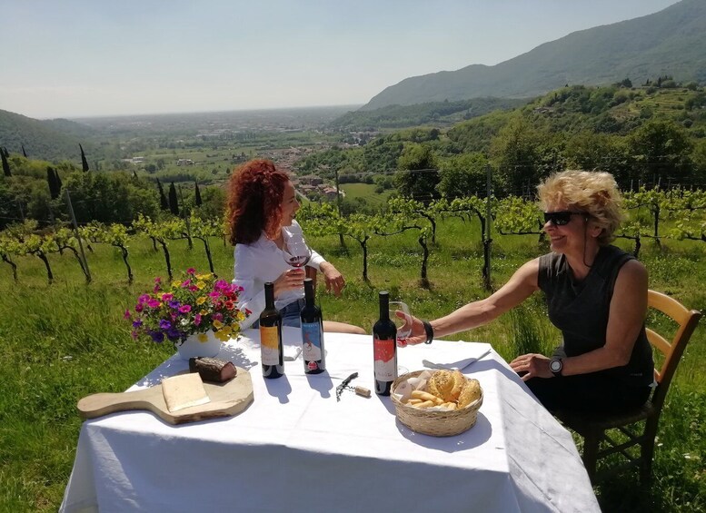 Brescia: day trip to Botticino with wine tasting at Noventa