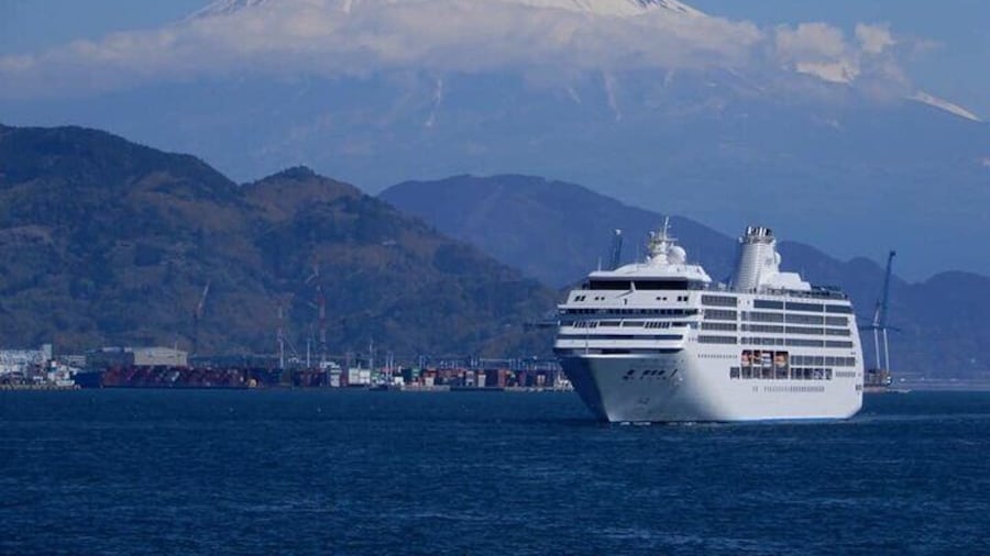Private Sightseeing Tour from Shimizu Port /Small Bus