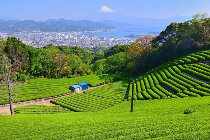 Nihondaira