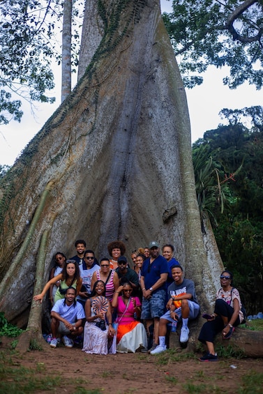 Picture 6 for Activity Experience Boti Twin Waterfalls, Umbrella Rock, 3H-Palm Tree