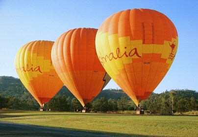 Brisbane: Luftballonflyvning med Vineyard Breakfast