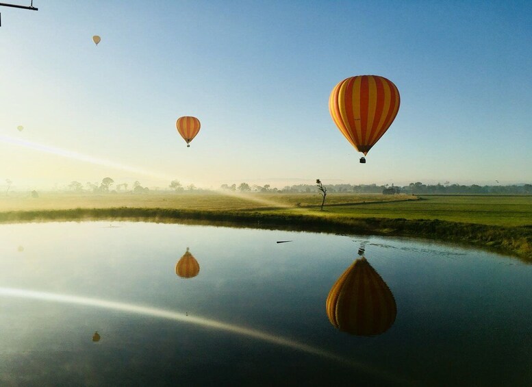 Picture 3 for Activity Brisbane: Hot Air Balloon Flight with Vineyard Breakfast