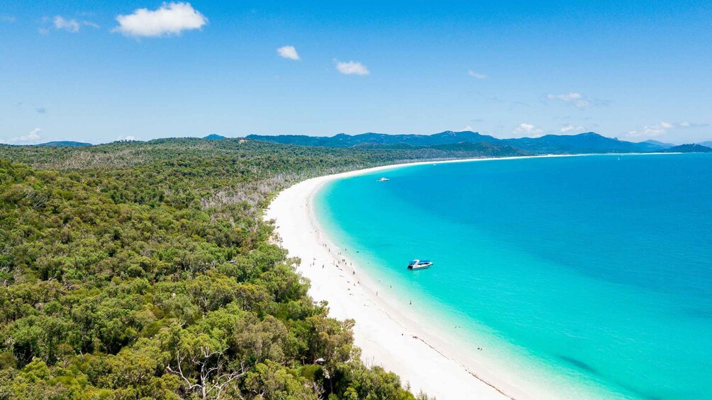 Picture 29 for Activity Airlie Beach: Whitehaven & Chalkies Beaches with Snorkeling