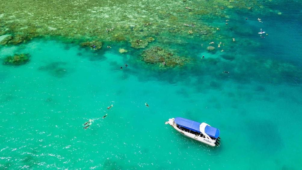 Picture 9 for Activity Airlie Beach: Whitehaven & Chalkies Beaches with Snorkeling