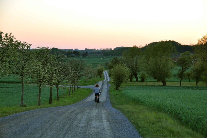 Picture 1 for Activity Hällåkra: Cycling or Hiking with wine tasting