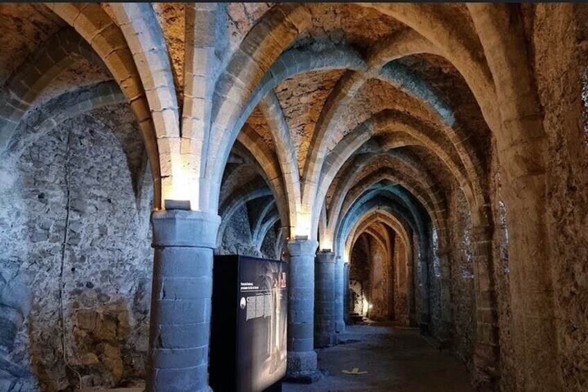 Full-Day Private Castle Tour from Geneva