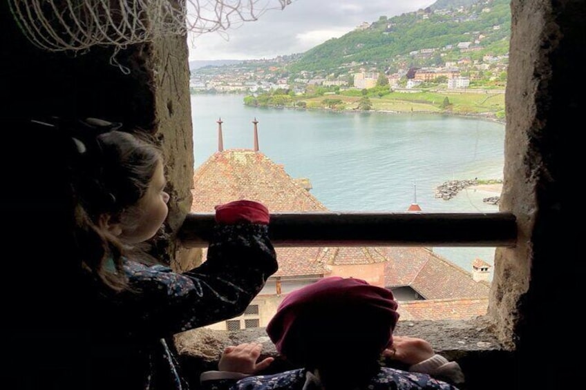 Full-Day Private Castle Tour from Geneva