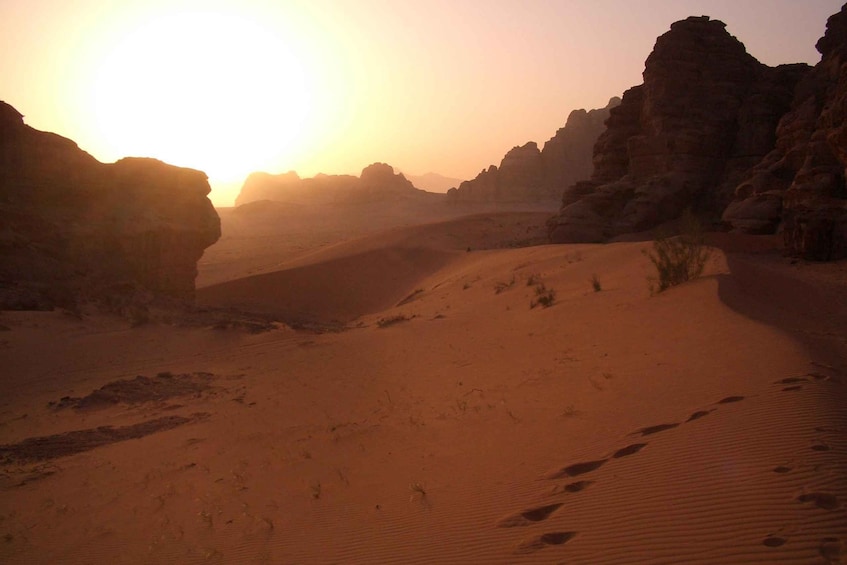 Picture 5 for Activity Wadi Rum: 2 Hour Camel Ride at Sunset/Sunrise Overnight