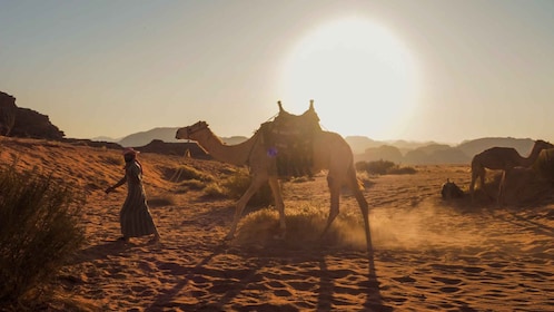 Wadi Rum: 2 timmars kamelritt vid solnedgång / soluppgång med övernattning