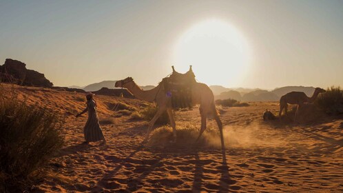 Wadi Rum: 2-stündiger Kamelritt bei Sonnenuntergang/Sonnenaufgang Übernacht...