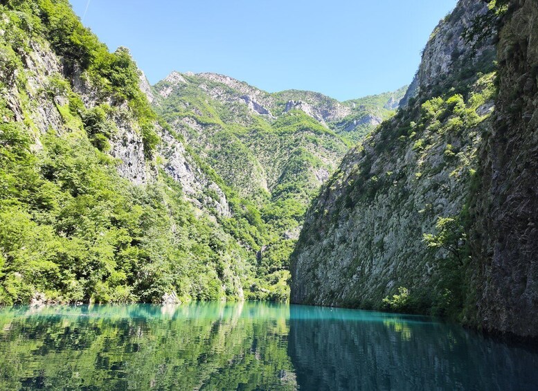 Picture 11 for Activity From Tirana : Shala River Private Boat Tour