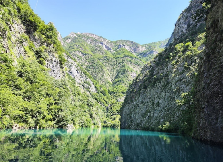 Picture 11 for Activity From Tirana : Shala River Private Boat Tour