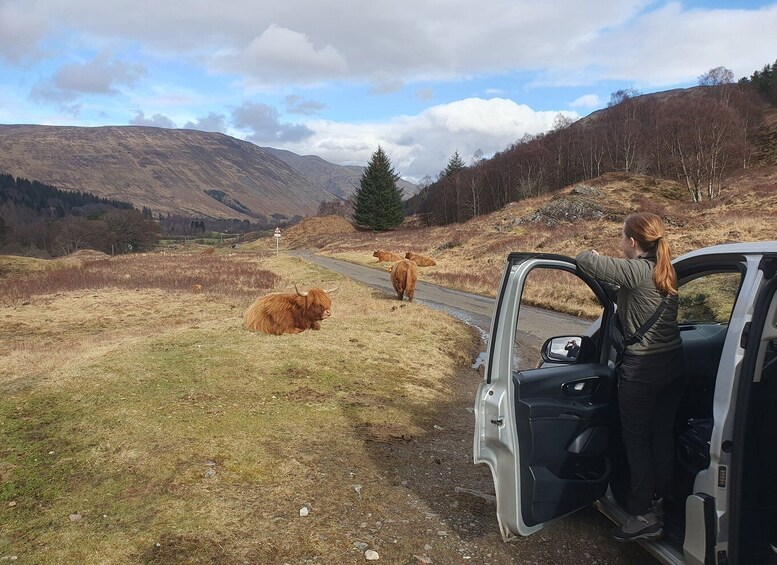 Picture 2 for Activity From Edinburgh: Off-The-Beaten-Track Scottish Highlands