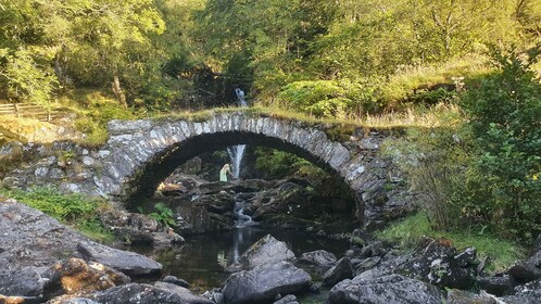 Desde Edimburgo: un tour privado a un majestuoso Highland Glen