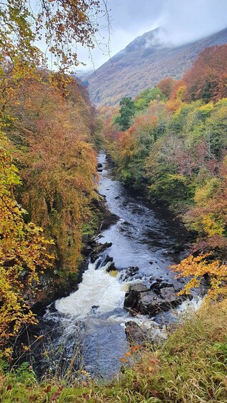 Picture 5 for Activity From Edinburgh: Off-The-Beaten-Track Scottish Highlands