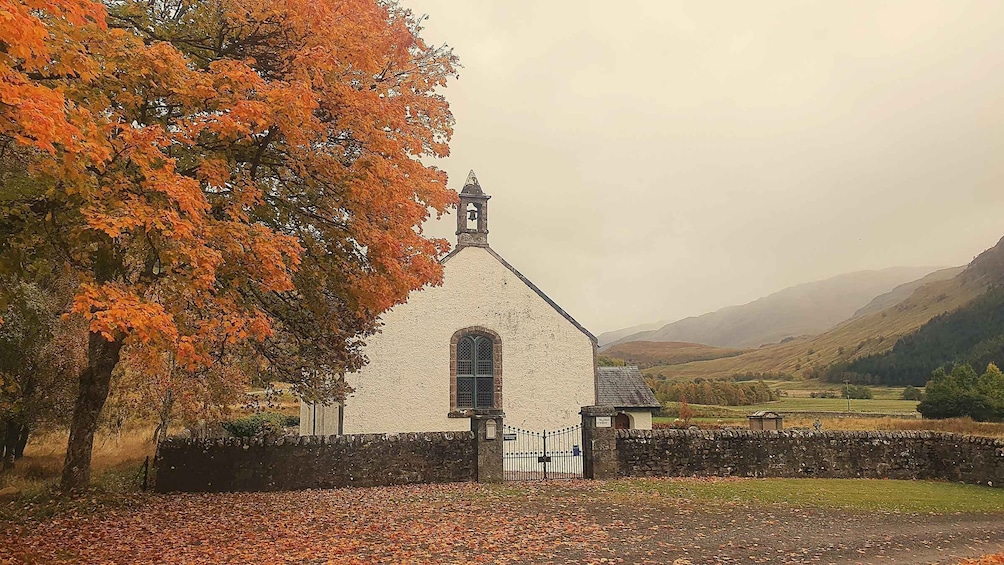 Picture 3 for Activity From Edinburgh: a Private Tour to a Majestic Highland Glen