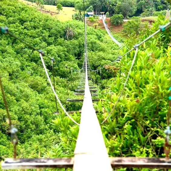 Picture 3 for Activity Mauritius: Private Southwest Day Tour