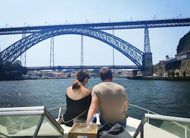 Porto: Private Boat Trip from Afurada to D. Luís Bridge (1h)