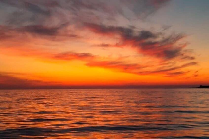 Island Visit National Park Brijuni and Dolphin Cruise