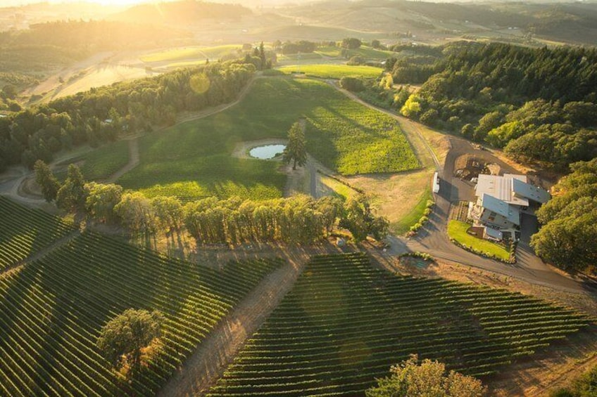 Helicopter Wine Tour!
