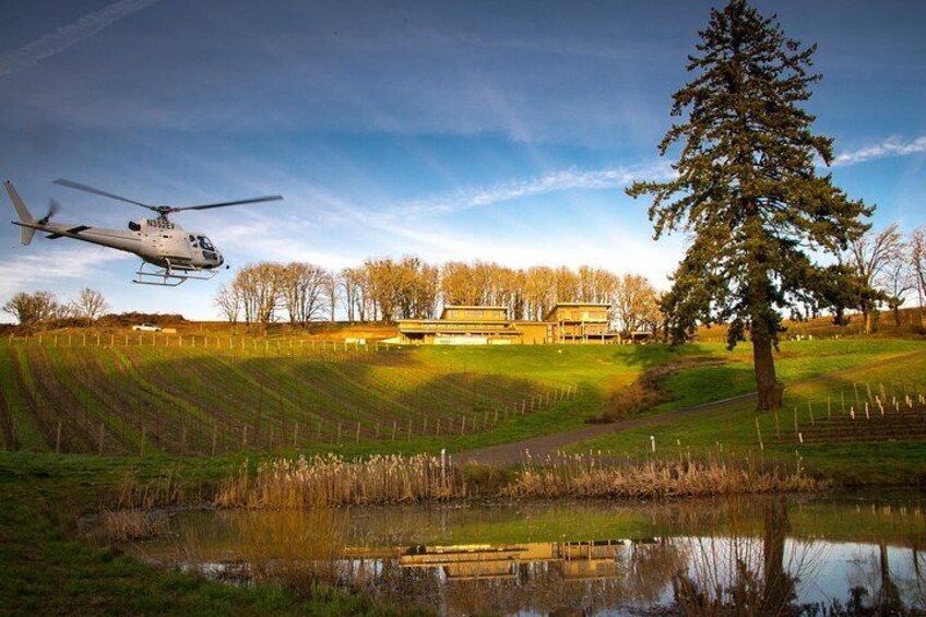 Tour DeVine by Heli - Helicopter Wine Tour