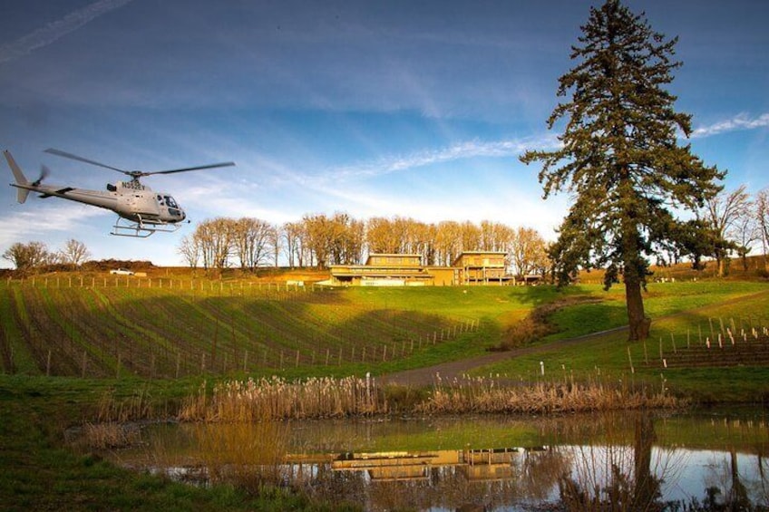Tour DeVine by Heli - Helicopter Wine Tour