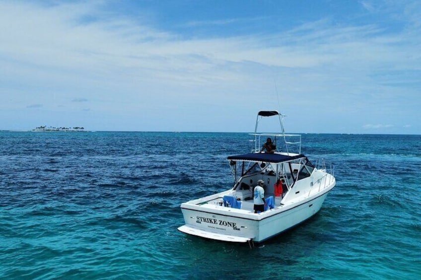 Private 38' Defender Sportfishing/Swim with Pigs in Nassau