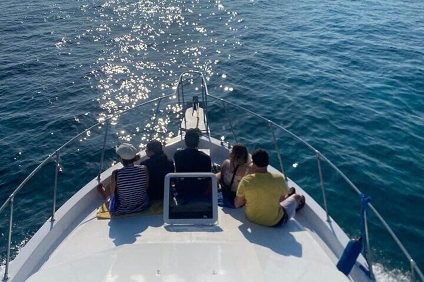 Private 38' Defender Sportfishing/Swim with Pigs in Nassau