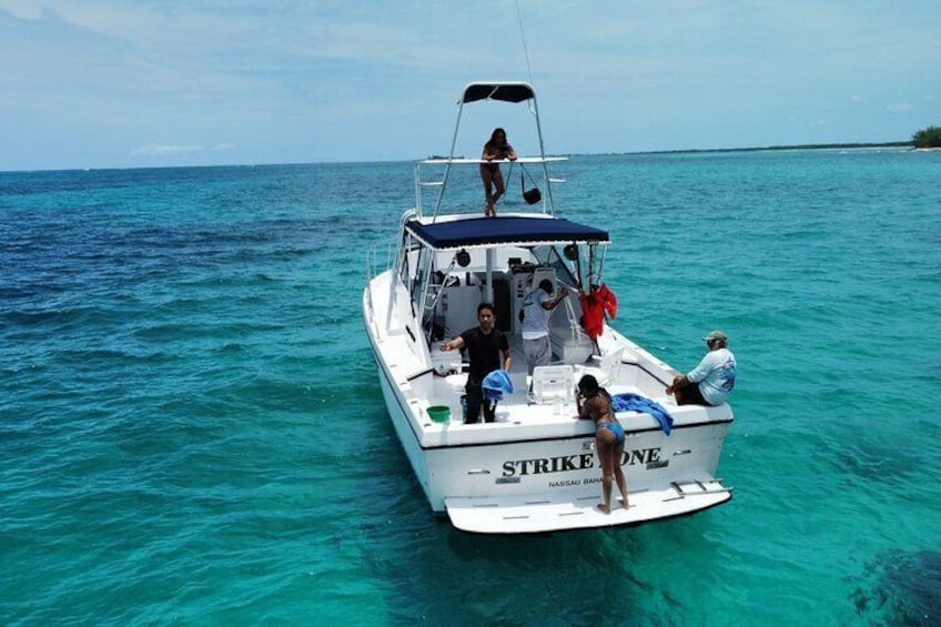 Private 38' Defender Sportfishing/Swim with Pigs in Nassau