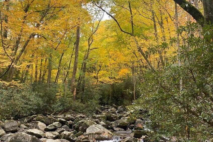 Mountaineer's Way Hike in the Smokies