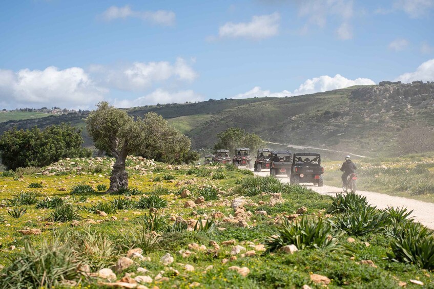 Picture 7 for Activity From Paphos: Coral Bay and Adonis Baths Guided Buggy Tour