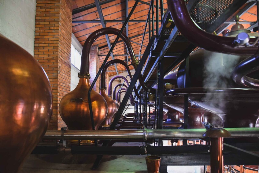 Jarnac: Braastad cognac discovery tour