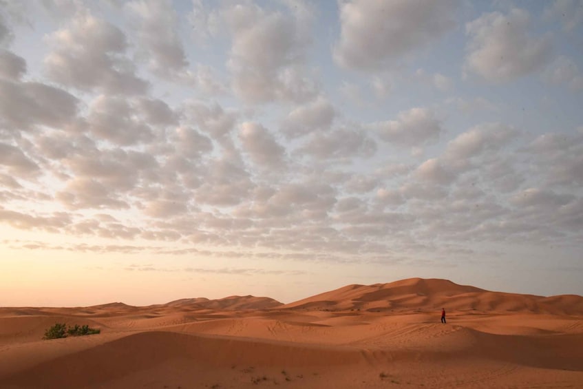 Merzouga sightseeing tour that shouldn't be missed