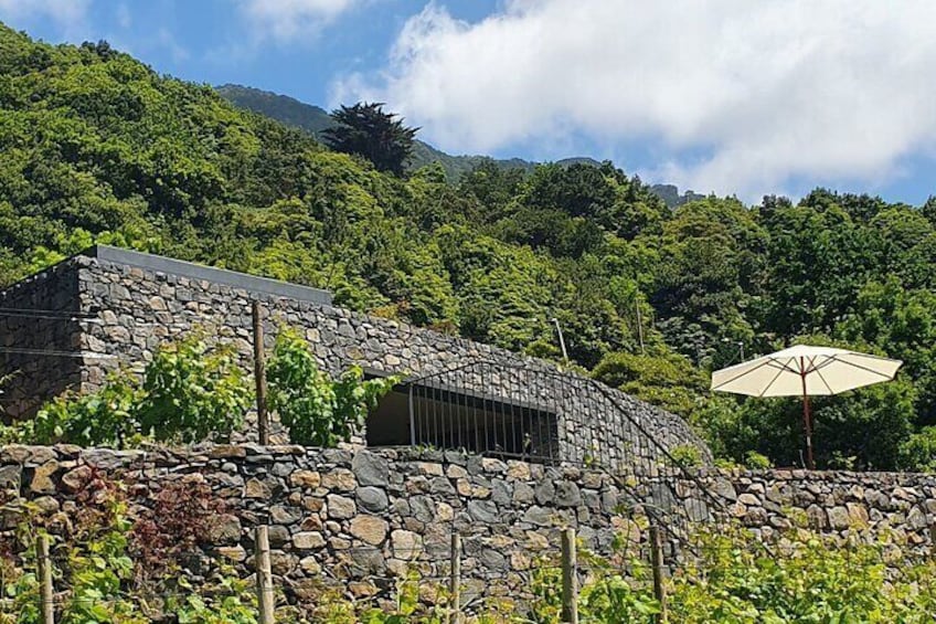 Wine Tasting Experience in Boaventura, Madeira North Coast