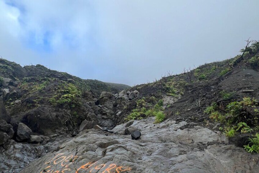 La Soufriere Volcano Hike 