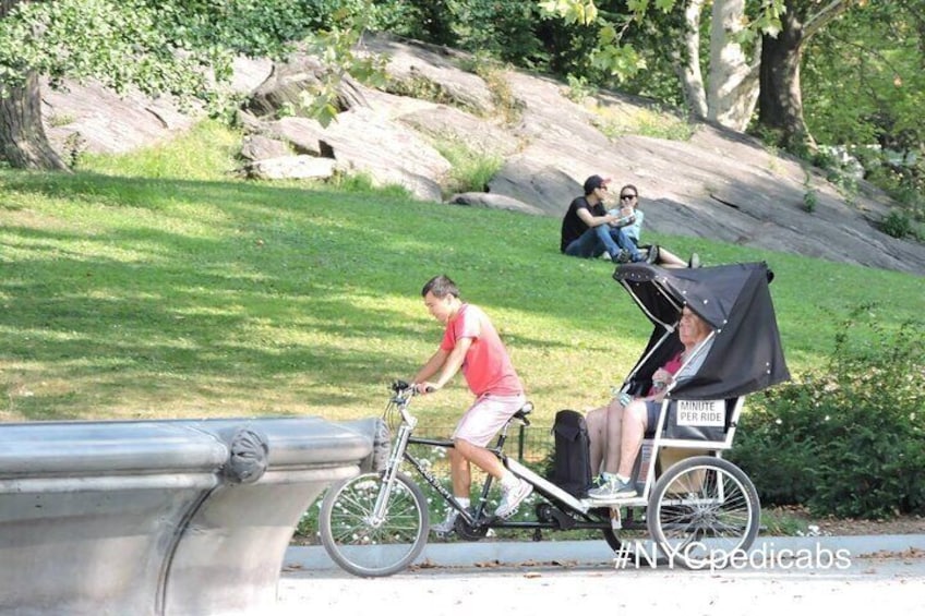 Rickshaw guide at work, Central Park
