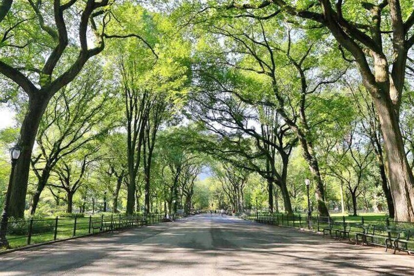 The Mall - Main Central Park Promenade 