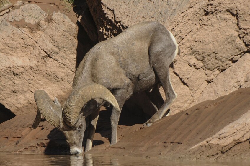 Hoover Dam and Red Rock Canyon Self-Guided Driving Audio Tour Bundle