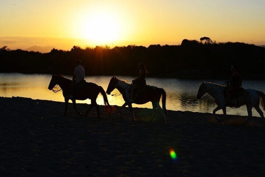 2-Hour Horseback Riding Tour at Sunset from Punta Cana