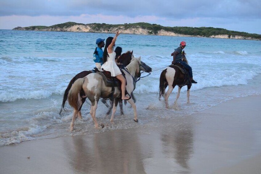 2-Hour Horseback Riding Tour at Sunset from Punta Cana