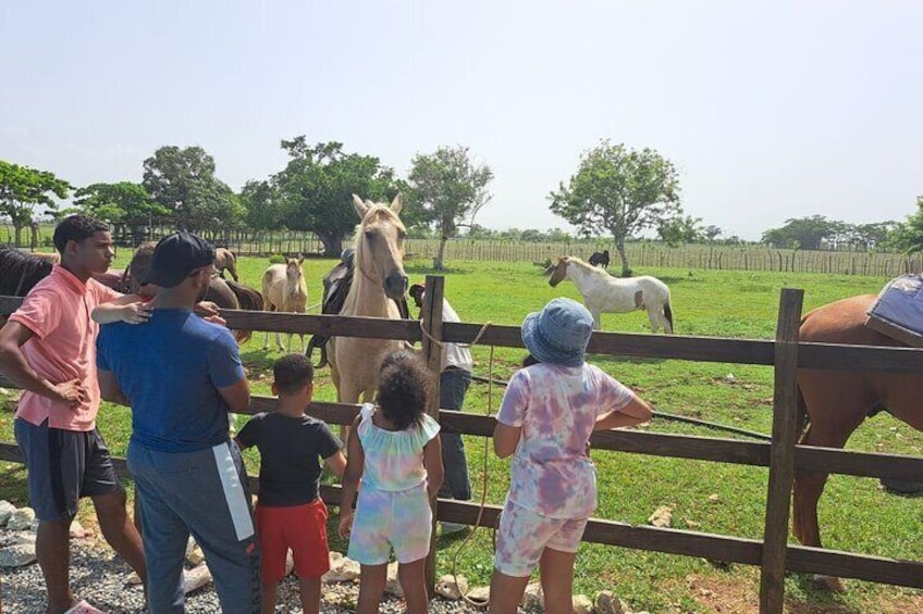 2-Hour Horseback Riding Tour at Sunset from Punta Cana